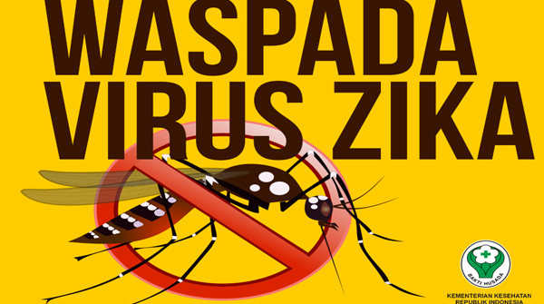 181601_617491_zikaer