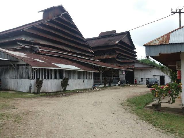 19096283288-pabrik-karet-bangkinang