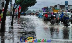 94f908d60d3205d3bb5db4urf-70877