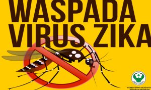 181601_617491_zikaer