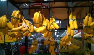 145043_376041_pisang_eci