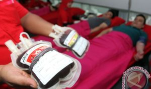 baksos-ptpn-v-pekanbaru-kumpulkan-89-kantong-darah