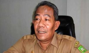 bb8466fb0402e4d02392bfx8x-70987