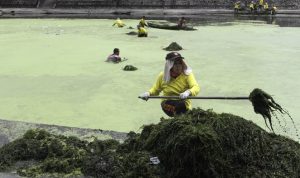 bersihkan-kawasan-resapan-air_20170125_200638