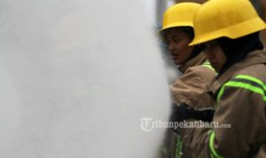 damkar1_20170320_150140