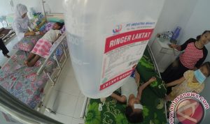 masuki-bulan-ketiga-2017-dinkes-riau-catat-138-kasus-dbd