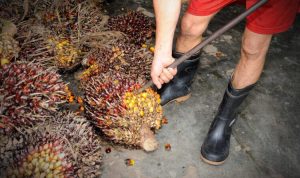 Bioetanol-limbah-kelapa-sawit-750x500