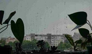 slava-l-tnu9nvYFc74-unsplash_11zon