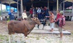 Resize_20260527_065231_1385